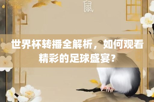 世界杯转播全解析，如何观看精彩的足球盛宴？