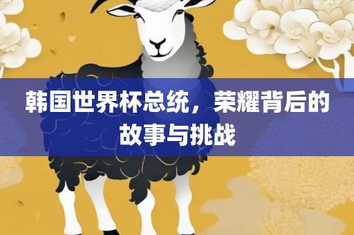 韩国世界杯总统，荣耀背后的故事与挑战
