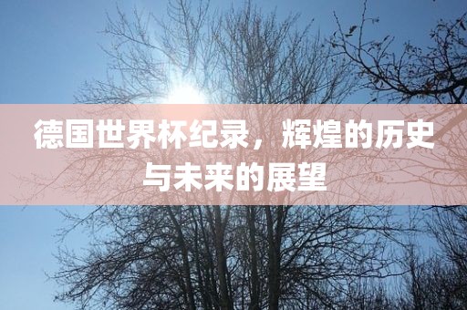 德国世界杯纪录，辉煌的历史与未来的展望