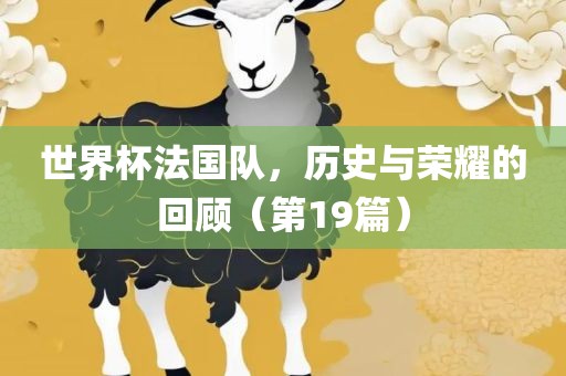 世界杯法国队，历史与荣耀的回顾（第19篇）