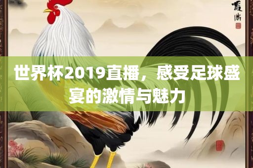 世界杯2019直播，感受足球盛宴的激情与魅力
