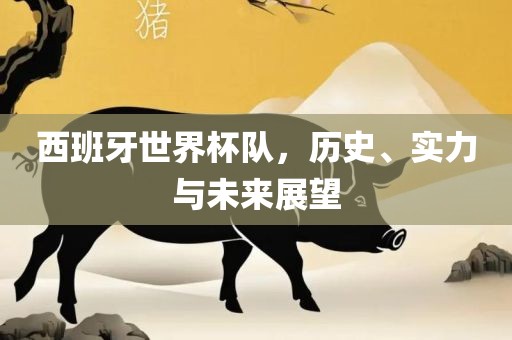 实力与未来展望