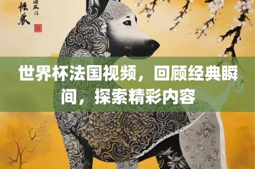 世界杯法国视频，回顾经典瞬间，探索精彩内容