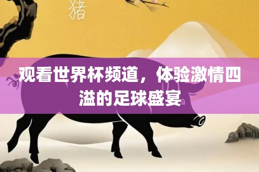 观看世界杯频道，体验激情四溢的足球盛宴漯河市盈旭机械设备有限公司