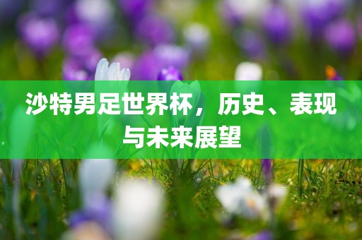 沙特男足世界杯，历史、表现与未来展望