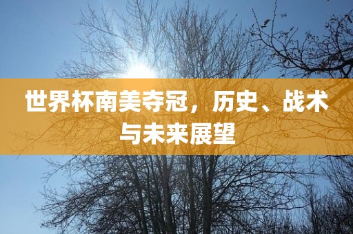 世界杯南美夺冠，历史、战术与未来展望