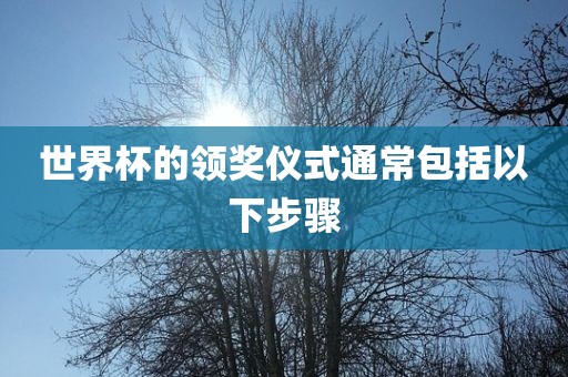 世界杯的领奖仪式通常包括以下步骤漯河市盈旭机械设备有限公司