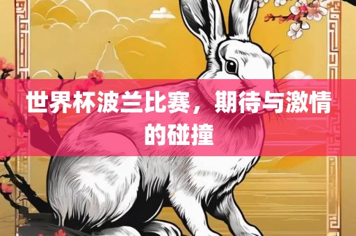 世界杯波兰比赛，期待与激情的碰撞