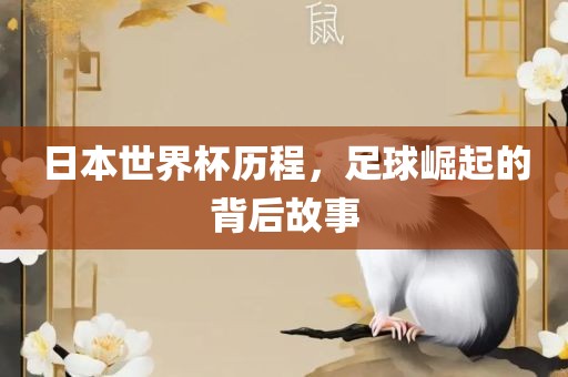 日本世界漯河市盈旭机械设备有限公司杯历程，足球崛起的背后故事