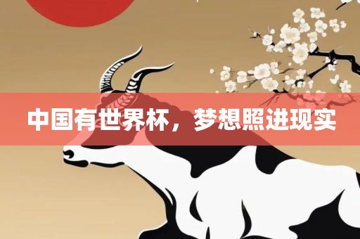 中国有世界杯，梦想照进现实