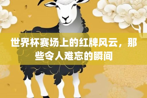 世界杯赛场上的红牌风云，那些令人难忘的瞬间