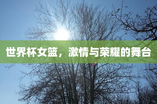 世界杯女篮，激情与荣耀的舞台