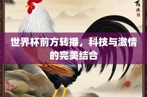 世界杯前方转播，科技与激情的完美结合
