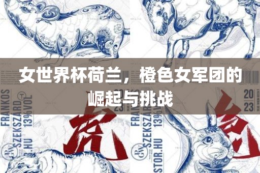 女世界杯荷兰，橙色女军团的崛起与挑战