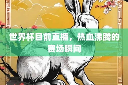 世界杯目前直播，热血沸腾的赛场瞬间