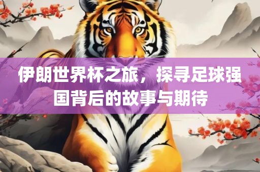 伊朗世界杯之旅，探寻足球强国背后的故事与期待