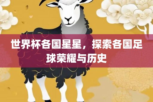 世界杯各国星星，探索各国足球荣耀与历史漯河市盈旭机械设备有限公司