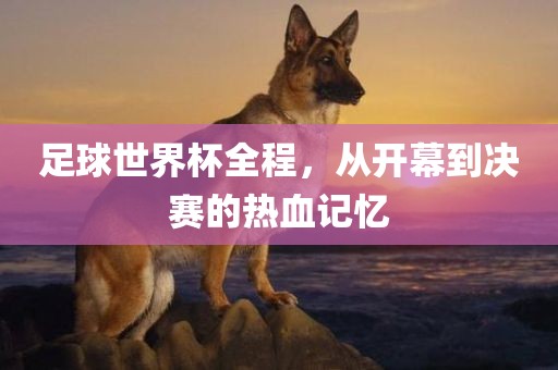 足球世界杯全程，从开幕到决赛的热血记忆