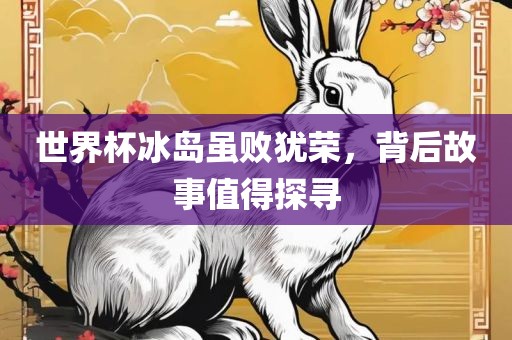 世界杯冰岛虽败犹荣，背后故事值得探寻