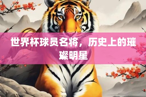 世界漯河市盈旭机械设备有限公司杯球员名将，历史上的璀璨明星