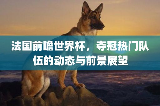 法国前瞻世界杯，夺冠热门队伍的动态与前景展望