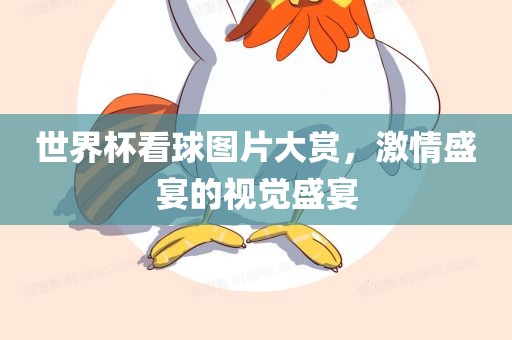 世界杯看球图片大赏，激情盛宴的视觉盛宴