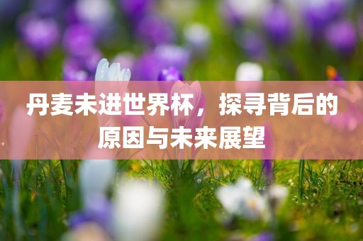 丹麦未进世界杯，探寻背后的原因与未来展望