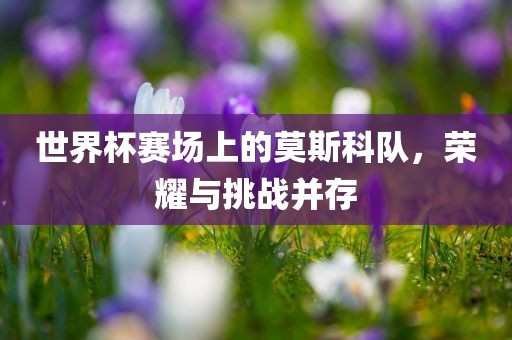 世界杯赛场上的莫斯科队，荣耀与挑战并存