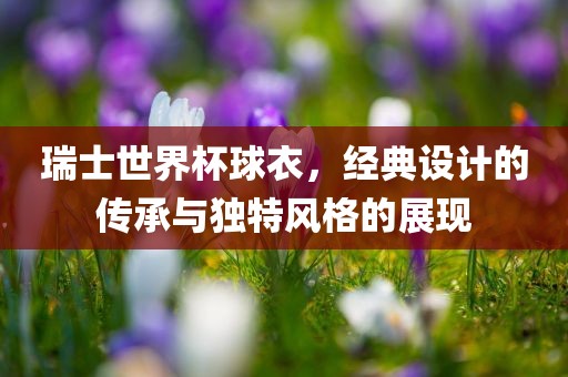 瑞士世界杯球衣，经典设计的传承与独特风格的展现漯河市盈旭机械设备有限公司