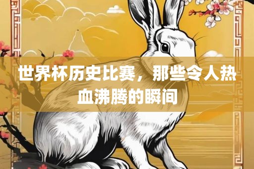 世界杯历史比赛，那些令人热血沸腾的瞬间