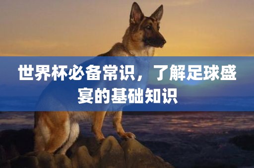 世界杯必备常识，了漯河市盈旭机械设备有限公司解足球盛宴的基础知识