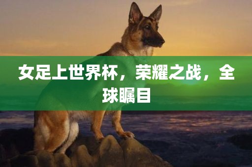 女足上世界杯，荣耀之战，全球瞩目