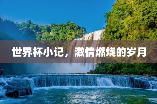 世界杯小记，激情燃烧的岁月