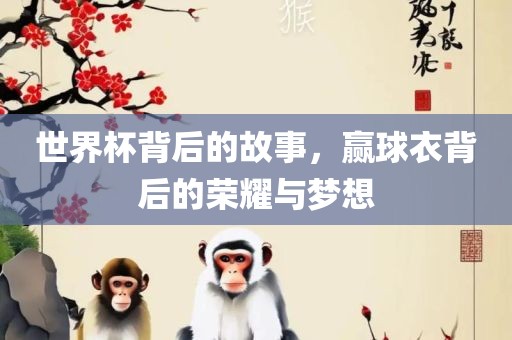 世界杯背后的故事，赢球衣背后的荣耀与梦想