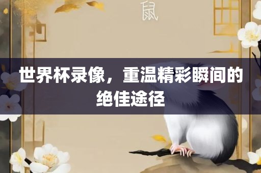 世界杯录像，重温精彩瞬间的绝佳途径