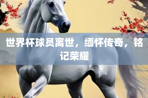 世界杯球员离世，缅怀传奇，铭记荣耀漯河市盈旭机械设备有限公司