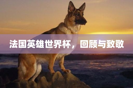 法国英雄世界杯，回顾与致敬