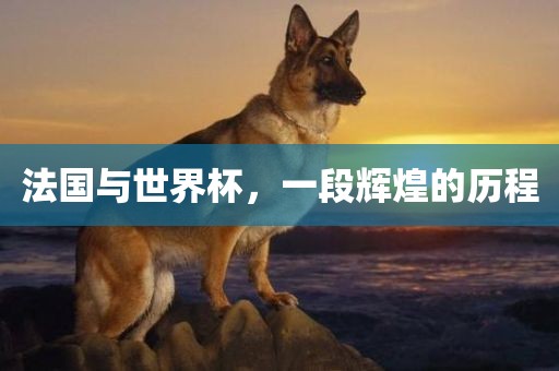 法国与世界杯，一段辉煌的历程