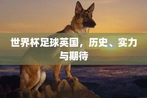 世界杯足球英国，历史、实力与期待