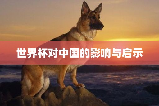 世界杯对中国的影响与启示漯河市盈旭机械设备有限公司