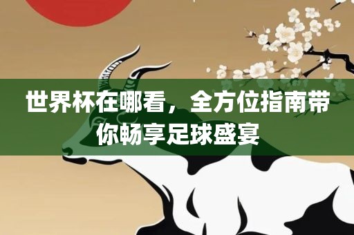 世界杯在哪看，全方位指南带你畅享足球盛宴