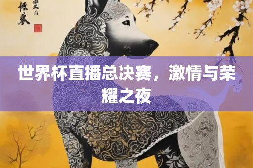 世界杯直播总决赛，激情与荣耀之夜